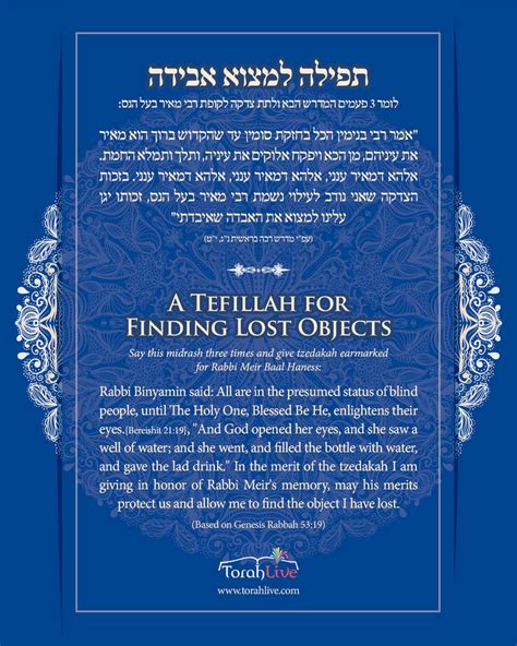 rebbe meir baal hanes|Donate to rebbe meir baal haness .